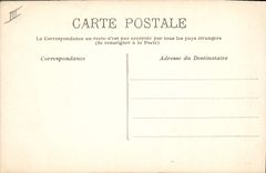 CPA Corrida Course de taureaux Entrante du toro a la mort 