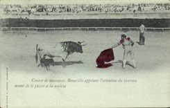 Postal Corrida Corrida de toros Bonarillo que llaman la atención del toro