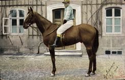 CPA Cheval Equitation Hippisme 