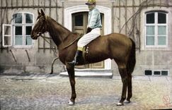 CPA Cheval Equitation Hippisme 