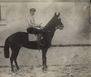 CARTE PHOTO Cheval Equitation Hippisme 
