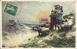 Vintage Postcard Fantasy Women Year 1908 Sheep
