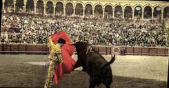 CPA Corrida Course de taureaux 