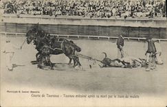 CPA Corrida Course de taureaux Taureau entraine apres sa mort par le train de mulets