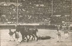 CARTE PHOTO Corrida Course de taureaux El arrastre
