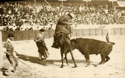 CARTE PHOTO Corrida Course de taureaux 