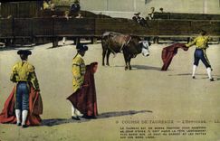 CPA Corrida Course de taureaux L'estocade