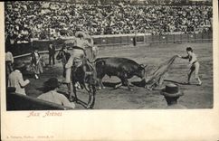 Postal Corrida Curso de toros a las arenas