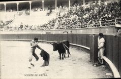 CPA Corrida Course de taureaux Suerte de Matar