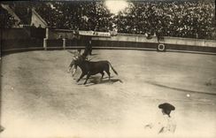 CARTE PHOTO Corrida Course de taureaux 