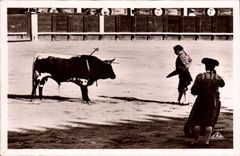CPA Corrida Course de taureaux Apres l'estocade 