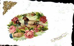 Vintage Postcard Fantasy Hand Flowers Birds