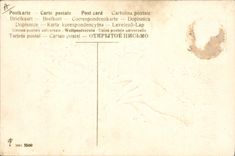 Vintage Postcard Fantasy Hand Flowers Lily of the valley