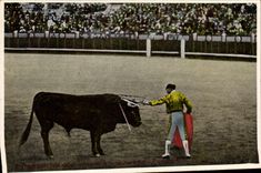 CPA Corrida Course de taureaux 