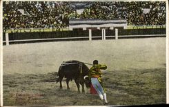 CPA Corrida Course de taureaux 