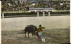 CPA Corrida Course de taureaux 