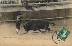 CPA Corrida Course de taureaux Une bonne paire de banderilles au cuarto 