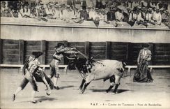 CPA Corrida Course de taureaux Pose de banderilles 