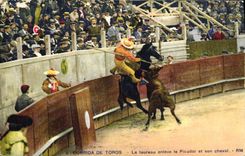 Postal Corrida Corrida de toros el toro retira al picador y a su caballo