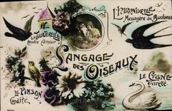 Vintage Postcard Fantasy Language of the birds Swallow Turtle-dove Swan Finch