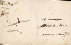 CPA Fantaisie Langage des oiseaux Hirondelle Tourterelle Cygne Pinson 