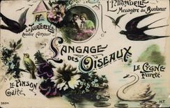 Vintage Postcard Fantasy Language of the birds Swan Turtle-dove Swallow Finch