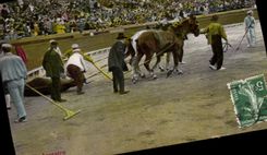 CPA Corrida Course de taureaux El arrastre