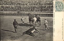 CPA Corrida Course de taureaux Nimes L'arrastre