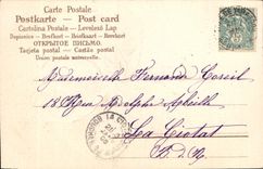 Vintage Postcard Fantasy Flowers Cobweb