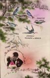 Vintage Postcard Fantasy the language of the birds