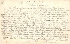 Vintage Postcard Fantasy the language of the Militaria daisy