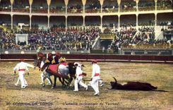 CPA Corrida Course de Taureaux L'arrastre Enlevement du taureau