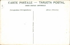 CPA Corrida Course de Taureaux L'arrastre Enlevement du taureau