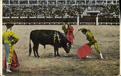 CPA Corrida Course de Taureaux El dascabello