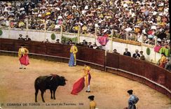 CPA Corrida Course de Taureaux La mort du taureau