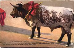 CPA Corrida Course de Taureaux Avant l'estocade