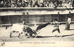 CPA Corrida Course de Taureaux Entree du taureau dans les arenes