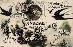 Vintage Postcard Fantasy the language of the birds Swan Swallow Finch