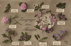 CPA Fantaisie Le langage des Fleurs