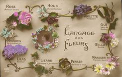 CPA Fantaisie Le langage des fleurs