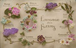 CPA Fantaisie Le langage des fleurs