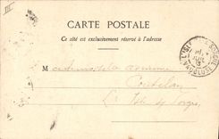 CPA Fantaisie Le langage des fleurs Mimosa