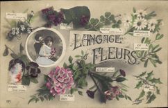 CPA Fantaisie Le langage des Fleurs