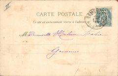 CPA Fantaisie Le langage des Fleurs