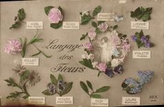 CPA Fantaisie Le langage des Fleurs