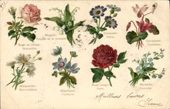 CPA Fantaisie Le langage des Fleurs