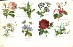 CPA Fantaisie Le langage des Fleurs