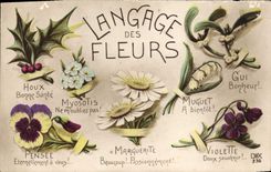 CPA Fantaisie Le langage des Fleurs