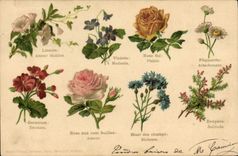 CPA Fantaisie Le langage des Fleurs