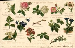 CPA Fantaisie Le langage des Fleurs